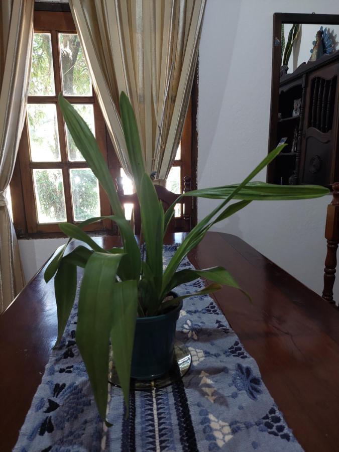Naturaleza Pura