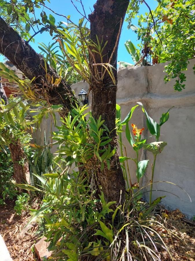 Holiday home Naturaleza Pura