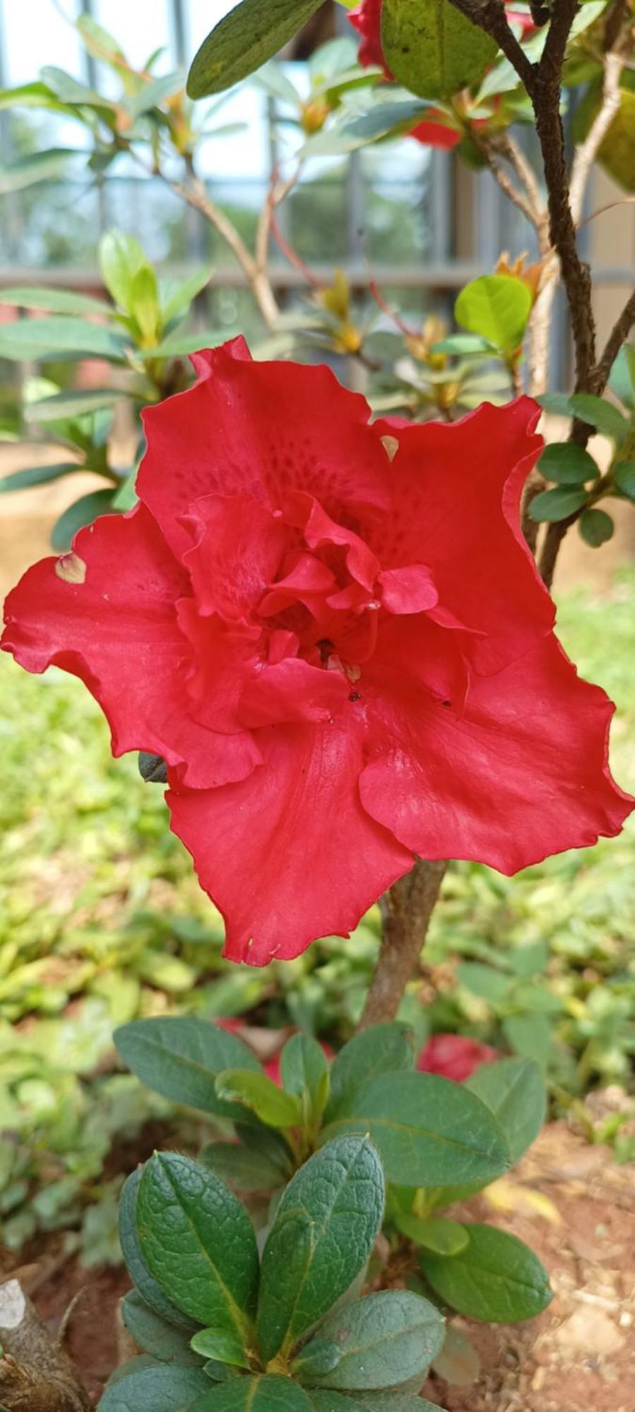Naturaleza Pura Puerto Iguazu