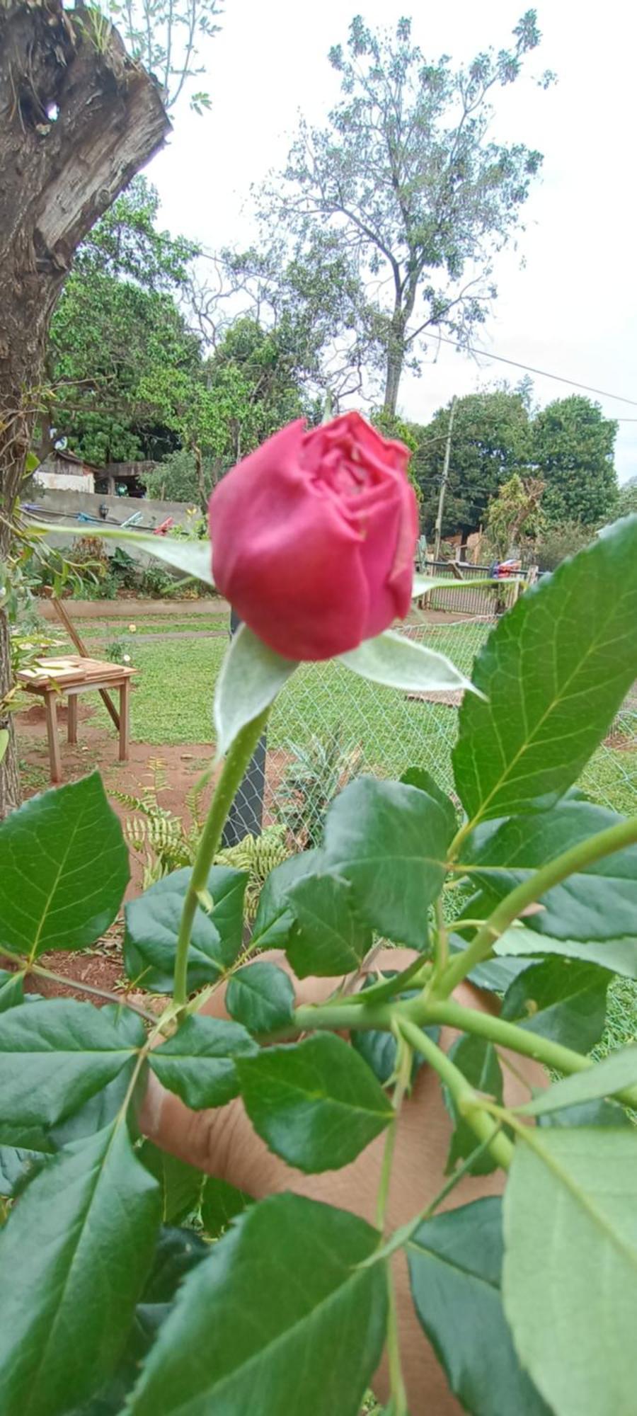 Naturaleza Pura Holiday home Puerto Iguazu