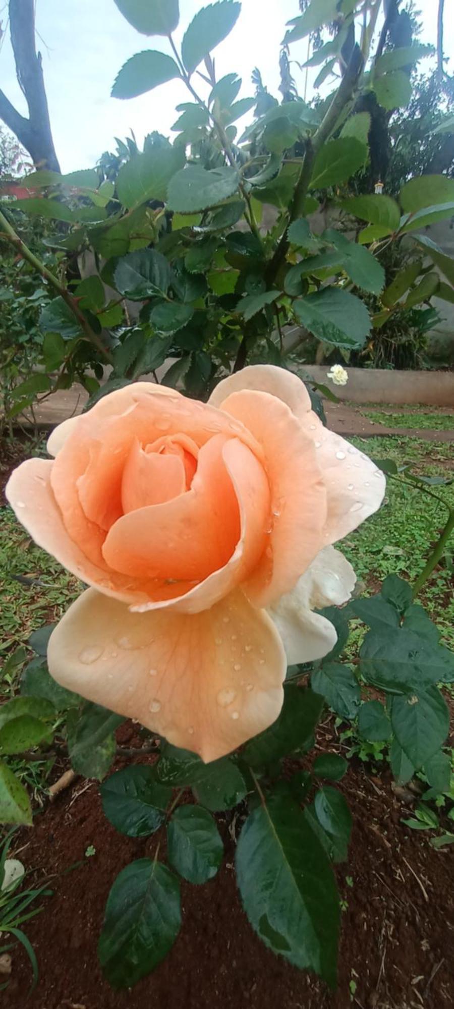 Holiday home Naturaleza Pura *