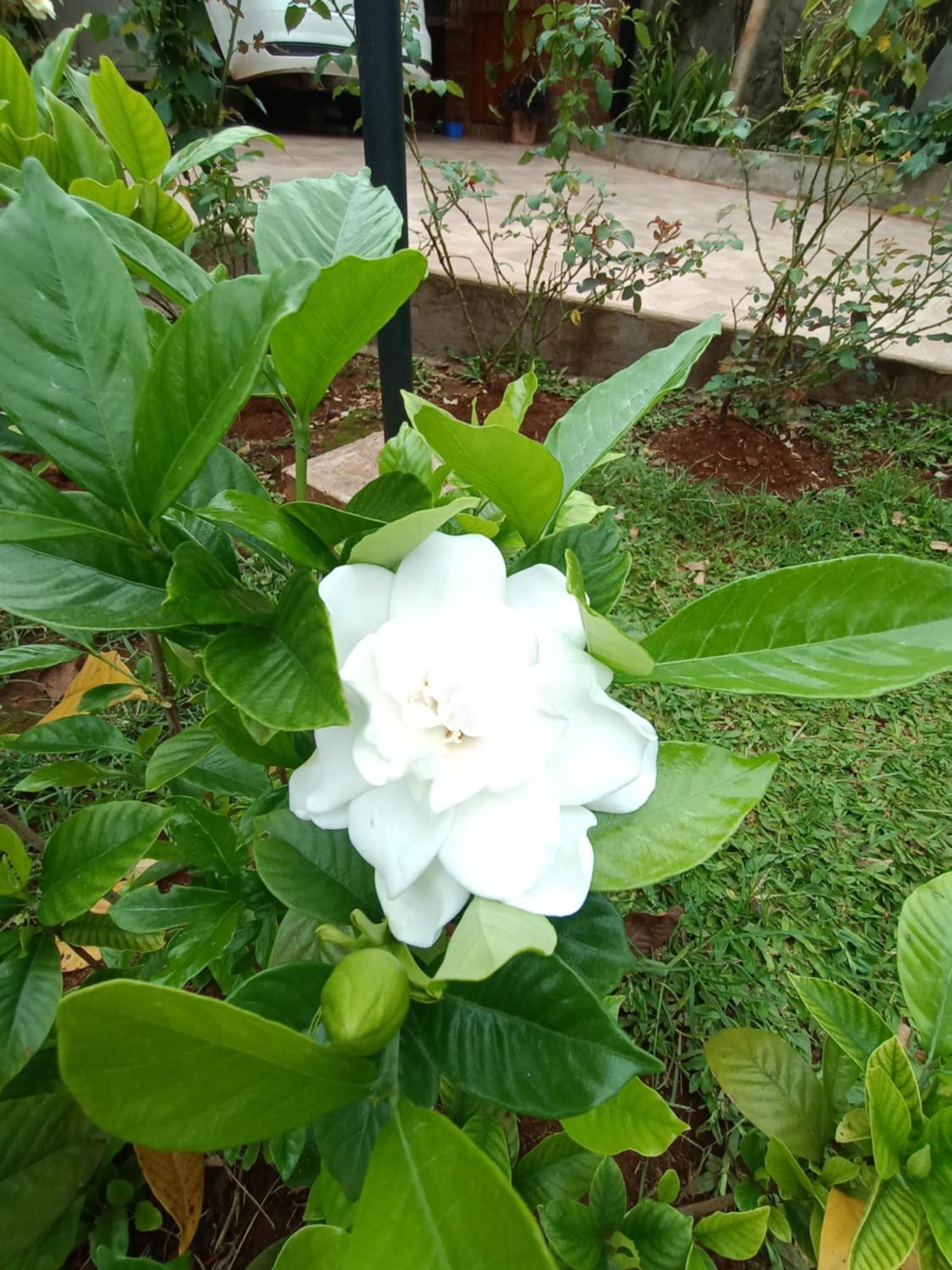 Naturaleza Pura Holiday home Puerto Iguazu